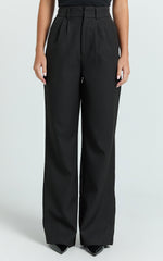 Melissa Pants - Pleat Front Wide Leg Tailored Pants in Black