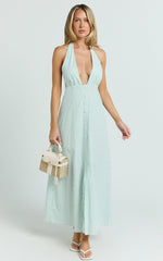 Jeienn Midi Dress - Line Placket Front Skirt Dress in Mint Stripe