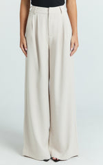 Xandria Pants - Low Rise Double Pleated Wide Leg Pants in Stone
